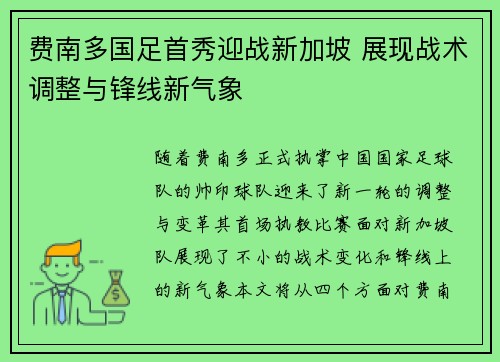 费南多国足首秀迎战新加坡 展现战术调整与锋线新气象